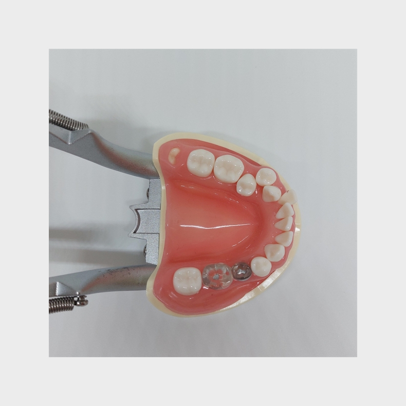 Instruktionsmodel til Tandbrstning 